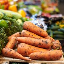 Морковь столовая, сорт «Нантская»