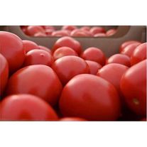 Томаты "Хибачи"