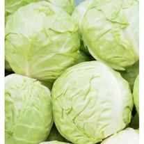 Капуста белокочанная