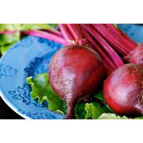 Свекла дачница