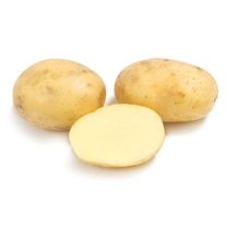 Картофель "Коломбо" крупный