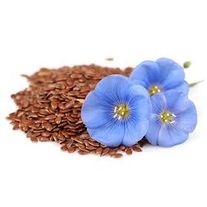 Лён масличный