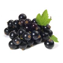 Ягоды смородины