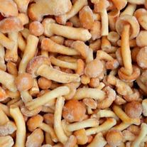 Опята заморозка