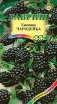 Ежевика Чародейка 10 штук семян Гавриш
