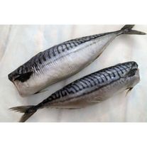 Скумбрия провесная