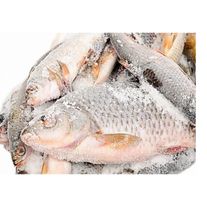 Карп свежемороженный