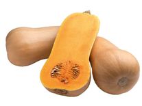 Тыква мускатная