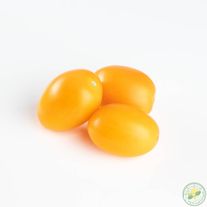 Томат желтый "Органза"