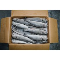 Сибас н/р 300-400 (Турция)