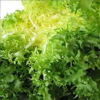 Эндивий Зидан