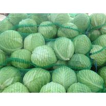 Белокочанная капуста