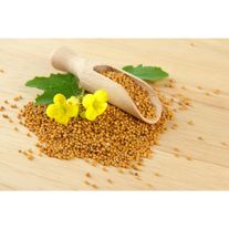 Семена горчицы