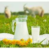 Молоко козье