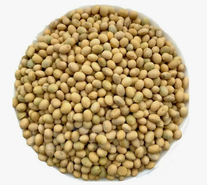 Семена сои "СИБИРЯЧКА" ЭС