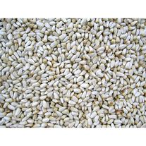 Семена сафлора