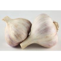 Чеснок, свежий урожай