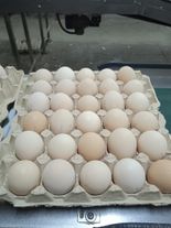 Яйца куриные С1