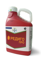 Редиго Про, КС