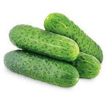 Огурцы короткоплодные колючие