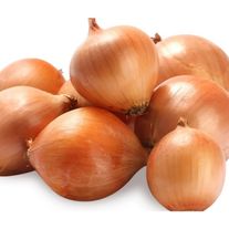 Лук репчатый