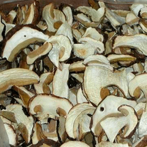 Гриб белый сухой