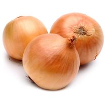 Лук репчатый