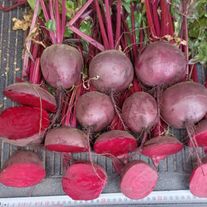 Свекла "Мулатка"