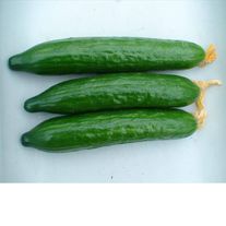 Огурец