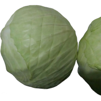 Капуста белокочанная "Московская" зимняя поздняя