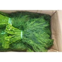 Укроп (зелень) свежий