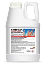 Буцефал, КЭ