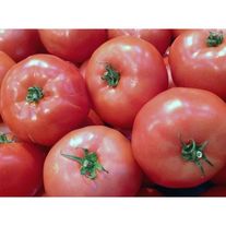 Томаты "Хайку"