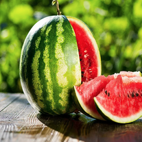 Арбузы сорта «Медовый сахар»