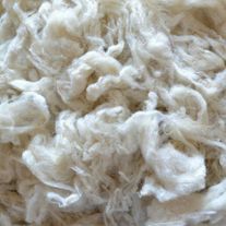 Овечья шерсть