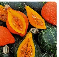 Тыква F1 Дюшес, смесь