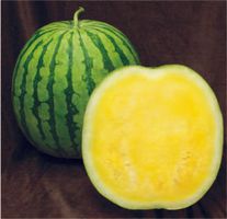 Арбуз Елоу Баттеркап F1