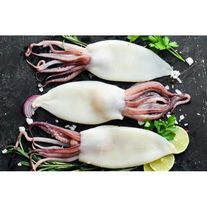 Тушка кальмара