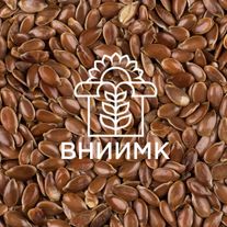 Семена масличного льна ВНИИМК сорт Авангард