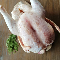 Индейка тушка