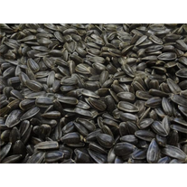 Семена подсолнечника Айдар