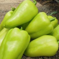 Перец "Амаретто"