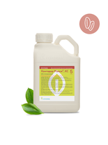 Контадор Макси, КС