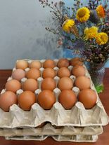 Яйца куриные СО
