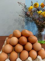 Яйца куриные СВ
