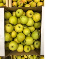 Яблоко сезонное "Золотой поток"