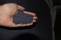 Семена ярового рапса сорт "Гедемин"