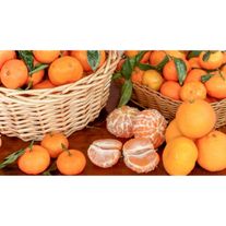 Мандарины абхазские