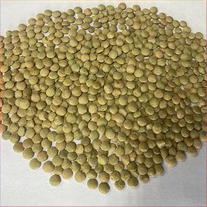 Семена зеленой чечевицы, сорт Донская