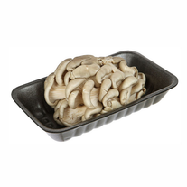 Грибы вешенка